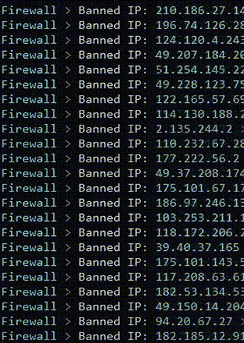 Papyrus VIP Anti DDoS Layer7 Anti Bot filtering software firewall banning malicious IPs